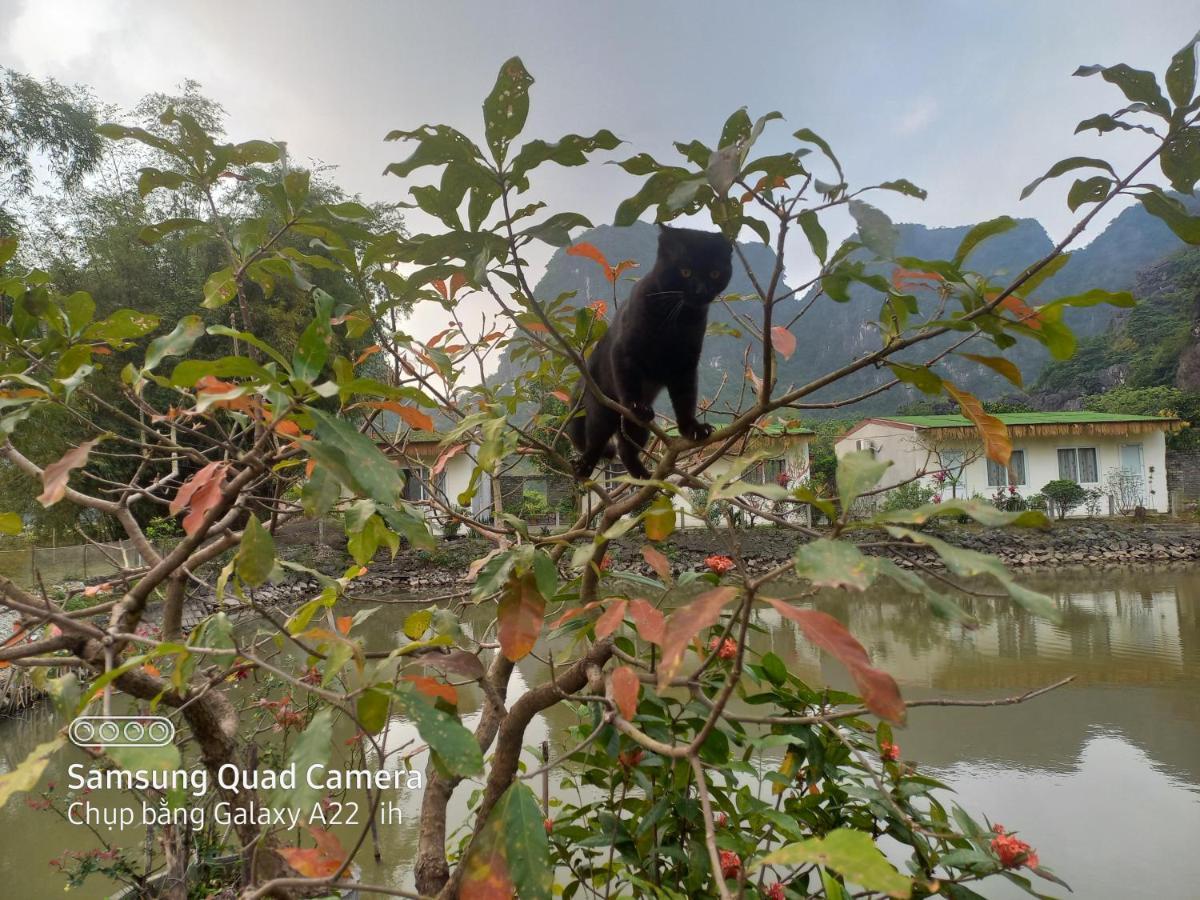 Trang An Pristine View Homestay Ninh Binh Exterior photo